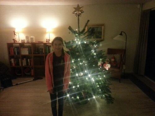 20141215_185557_Lundgårdsvej.jpg image