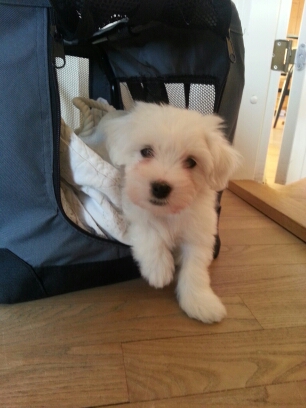 20150415_193121_Pihlkjærsvej.jpg image